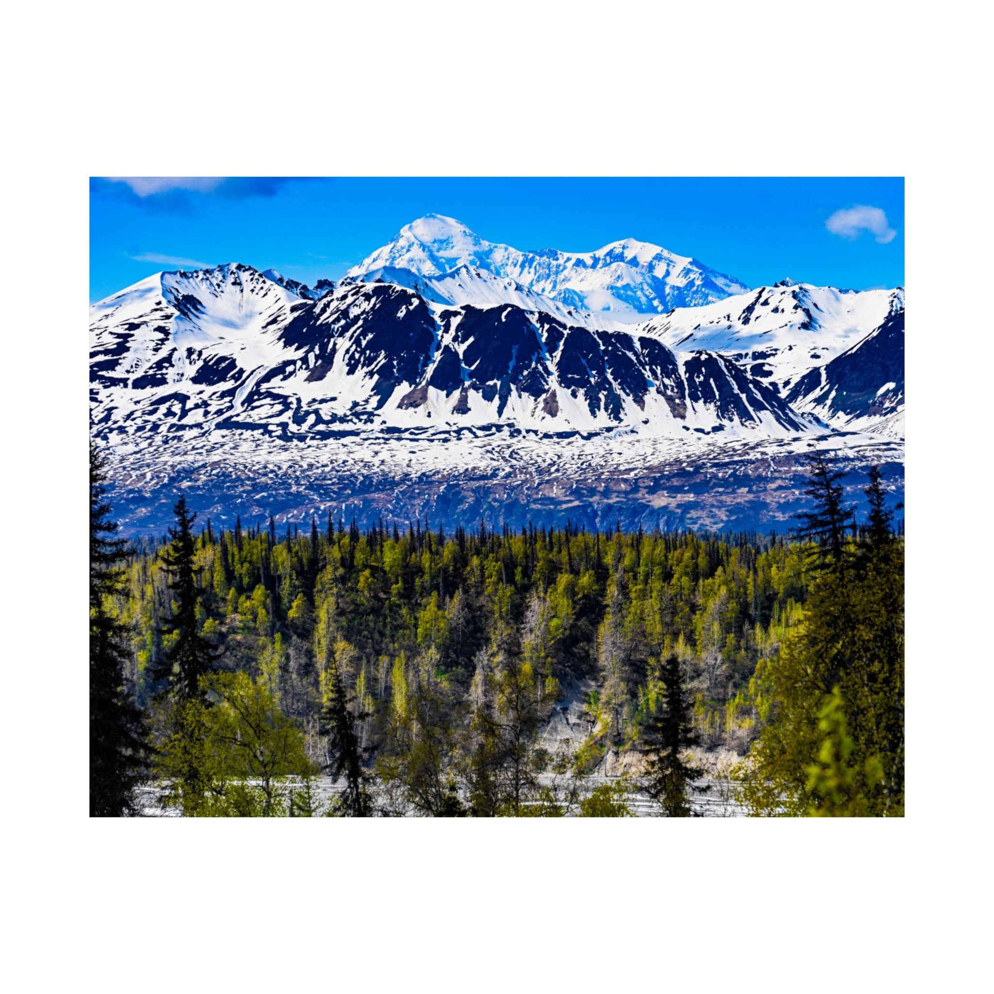 12995007093819057137 2048.jpeg