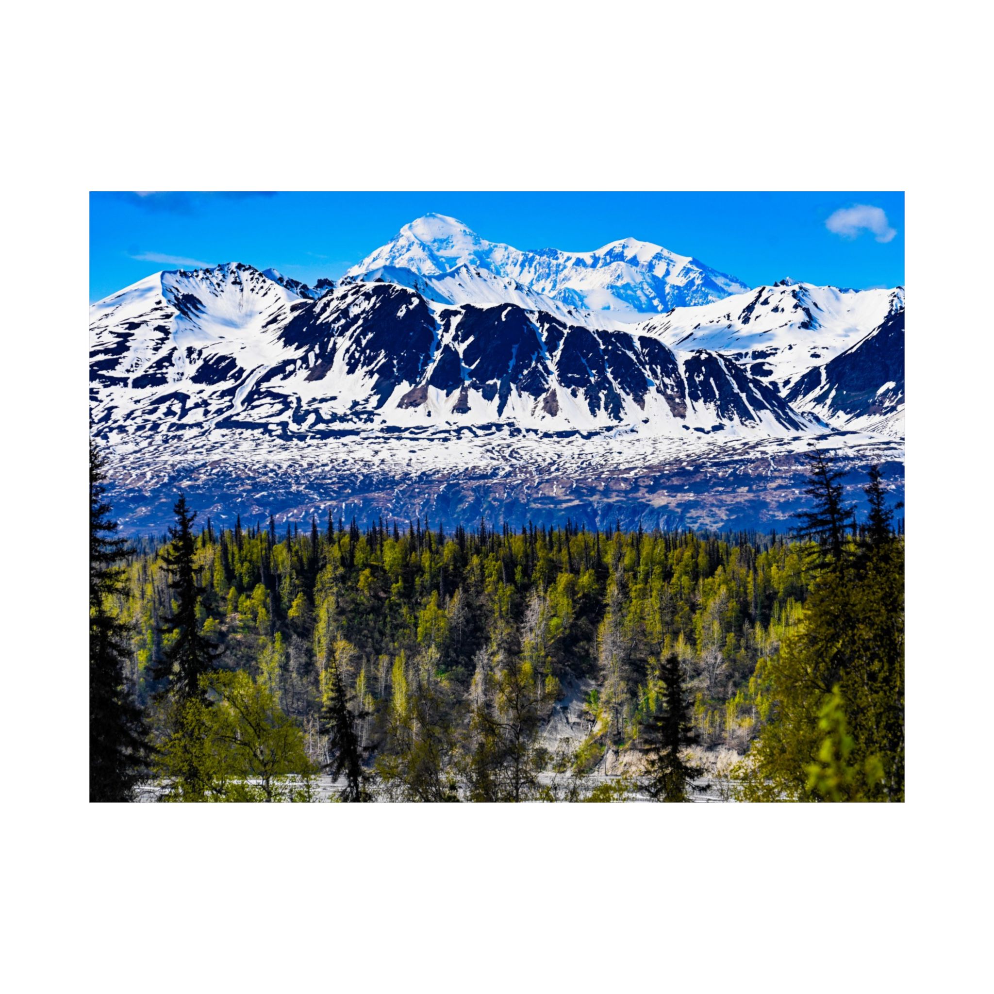 2913517042909853647 2048.jpeg