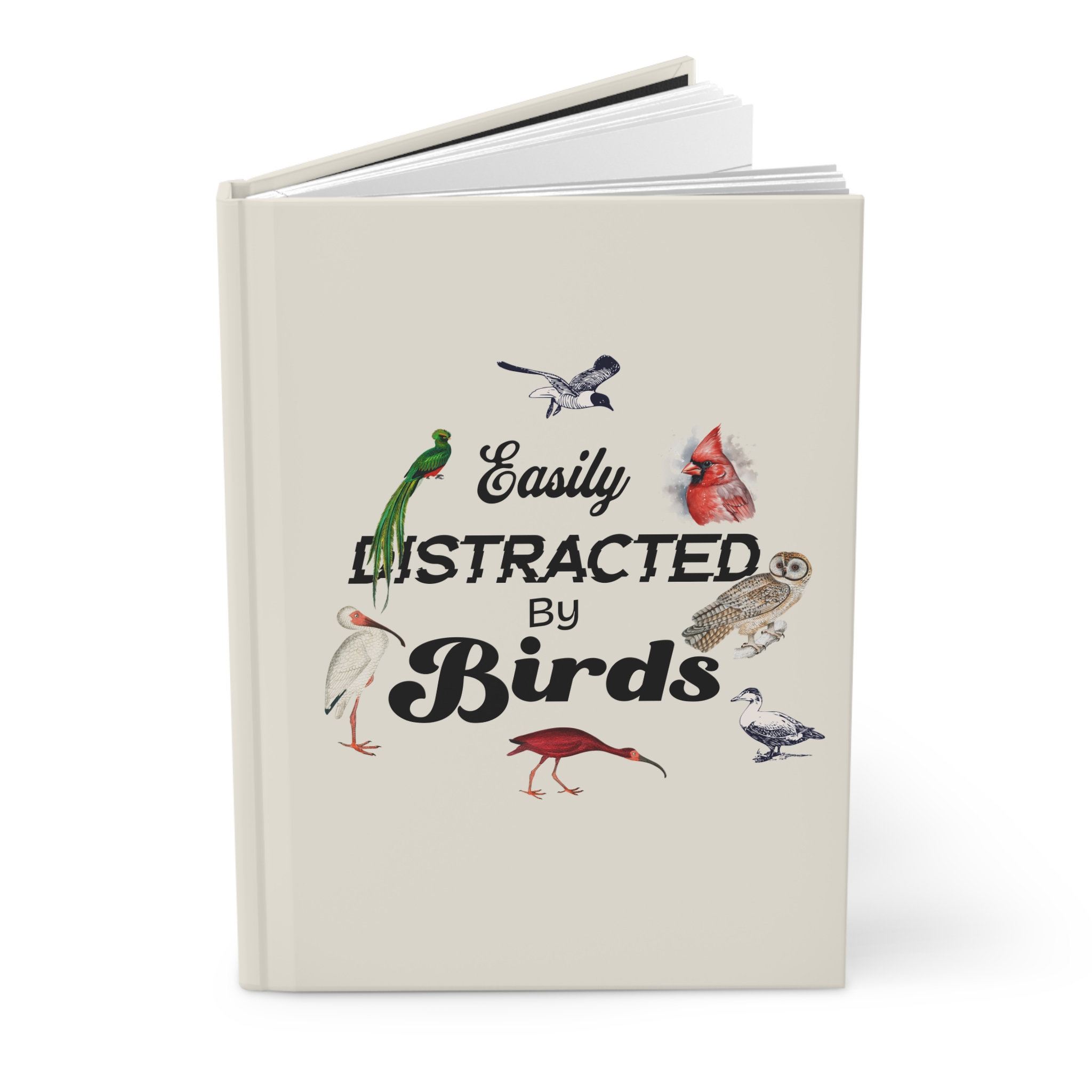 15011238343169872357 2048.jpeg