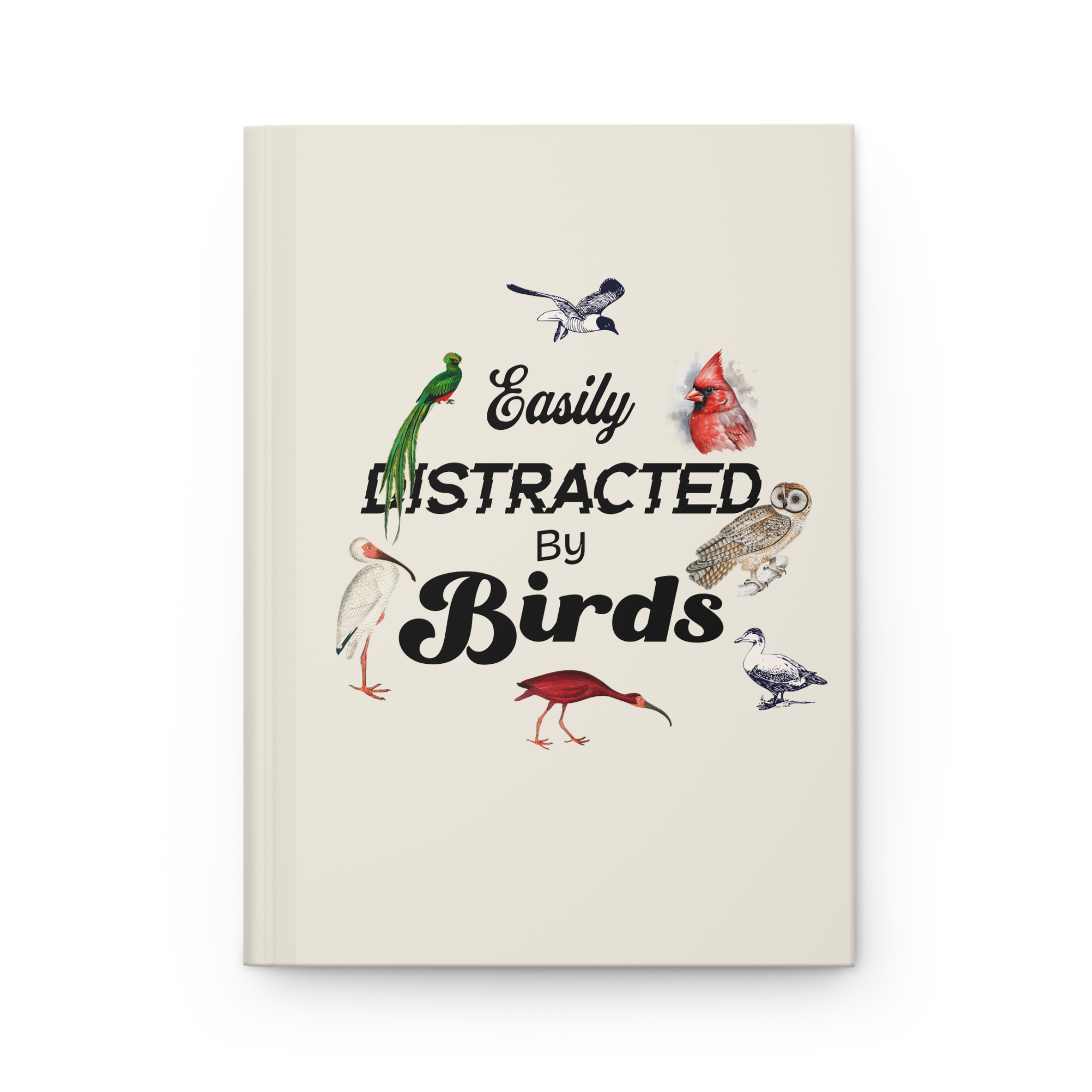 640155555424953336 2048.jpeg